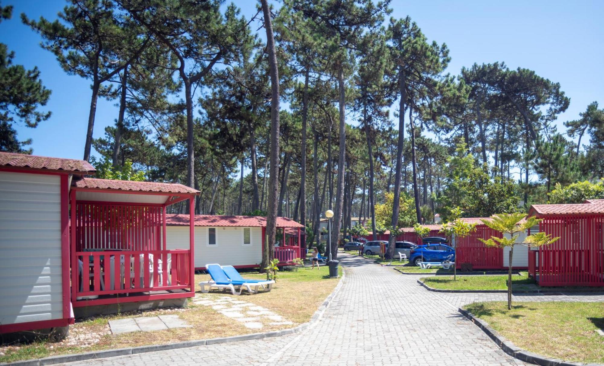 Parque De Campismo Orbitur Sao Pedro De Moel Hotel Ruang foto